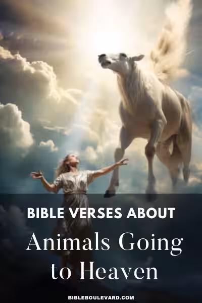 Tiere im Himmel – Was sagt die Bibel darüber? Tiere im Himmel – Was sagt die Bibel darüber?
