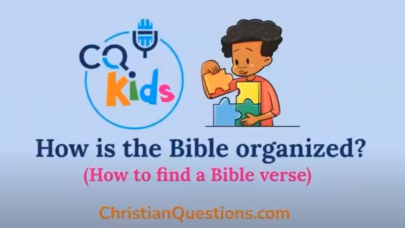 Wie die Bücher der Bibel organisiert sind