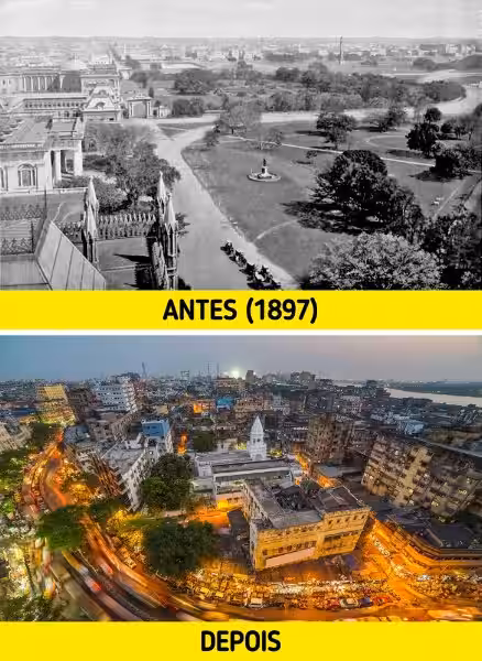 Yo Antes de Ti: Buch, das uns verändert Yo Antes de Ti: Buch, das uns verändert