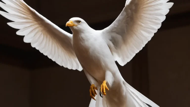 Representations of the Holy Spirit