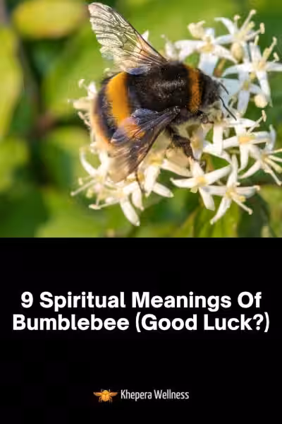 bumbye-meaning