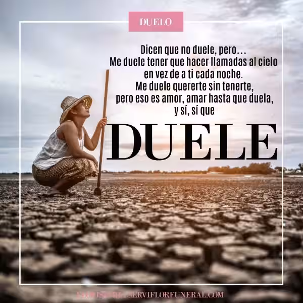 estaba-perdida