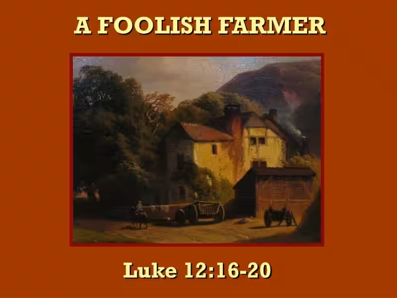 foolish-farmer