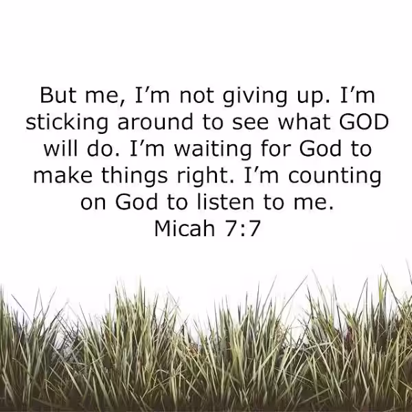 micah-7-msg