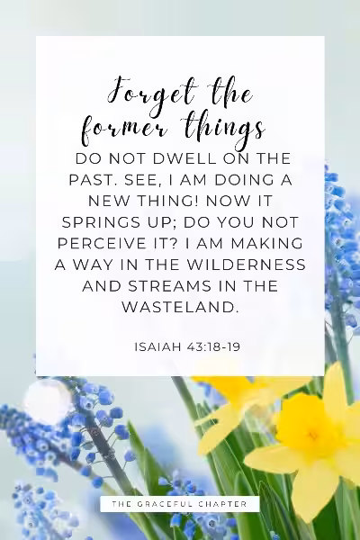 new-beginnings-devotional