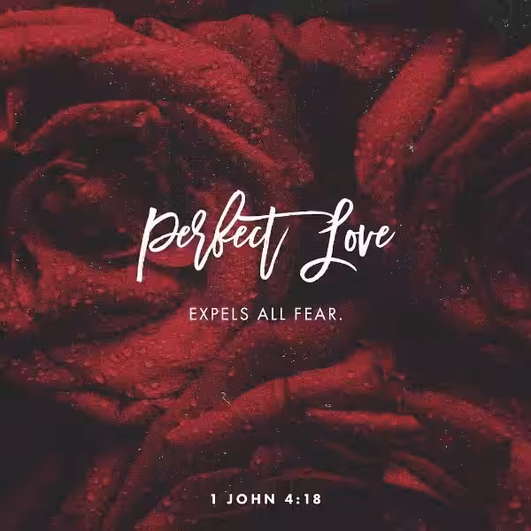 perfected-love
