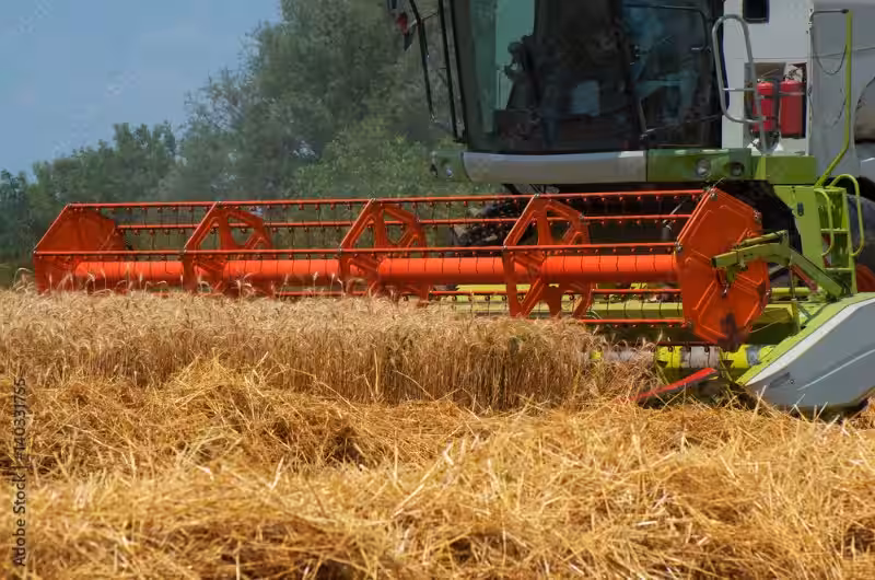 reap-harvest