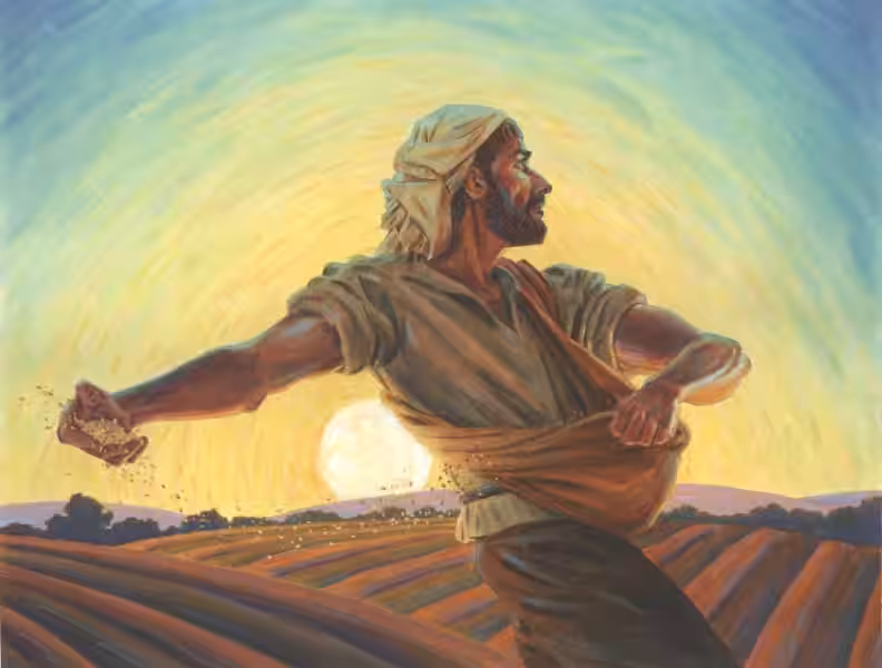 sowers-of-seed