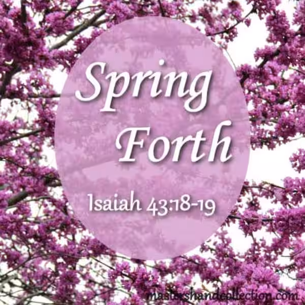 spring-forth