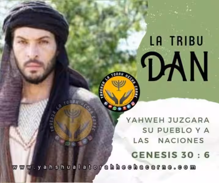 tribu-de-dan