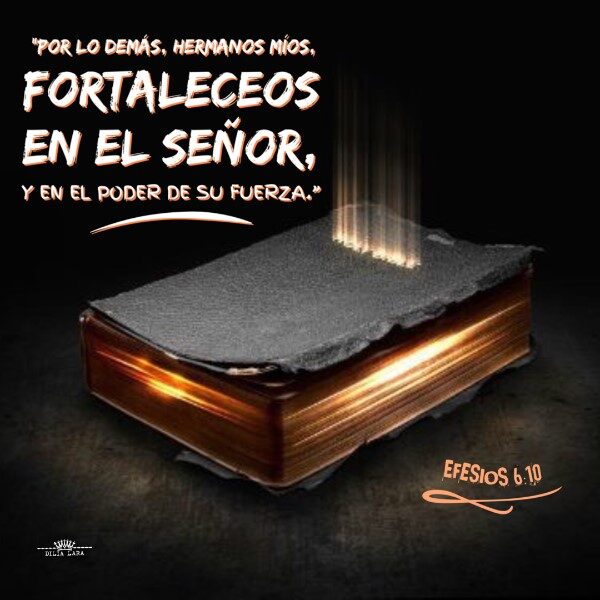 biblia-fuerza