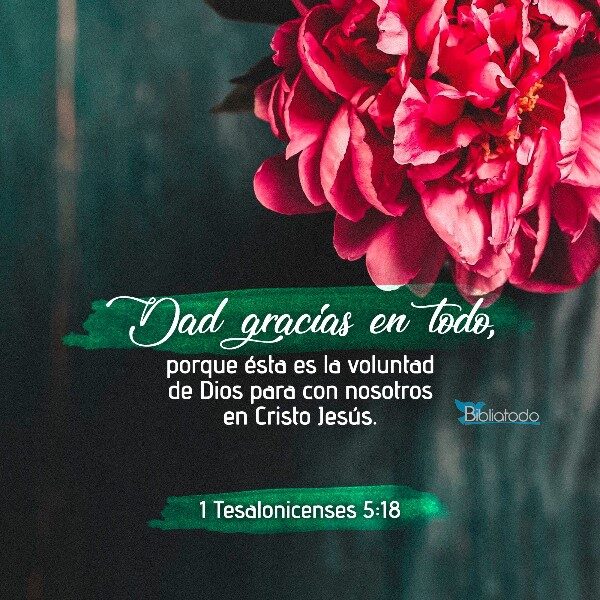 dad-gracias-en-todo-versiculos