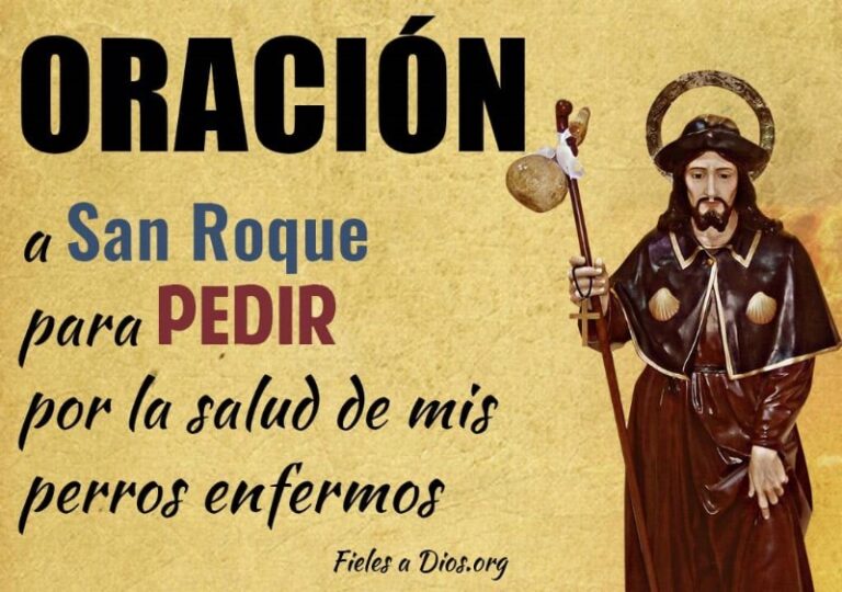 oracion-para-pedir-por-la-salud-de-mi-mascota