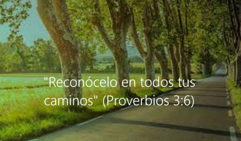 reconoce-a-dios-en-todos-tus-caminos