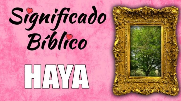 significado-de-haya