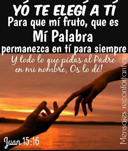 vosotros-no-me-elegiste-a-mi