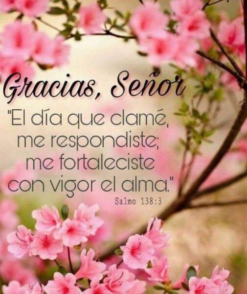 buen-dia-con-versiculos-biblicos