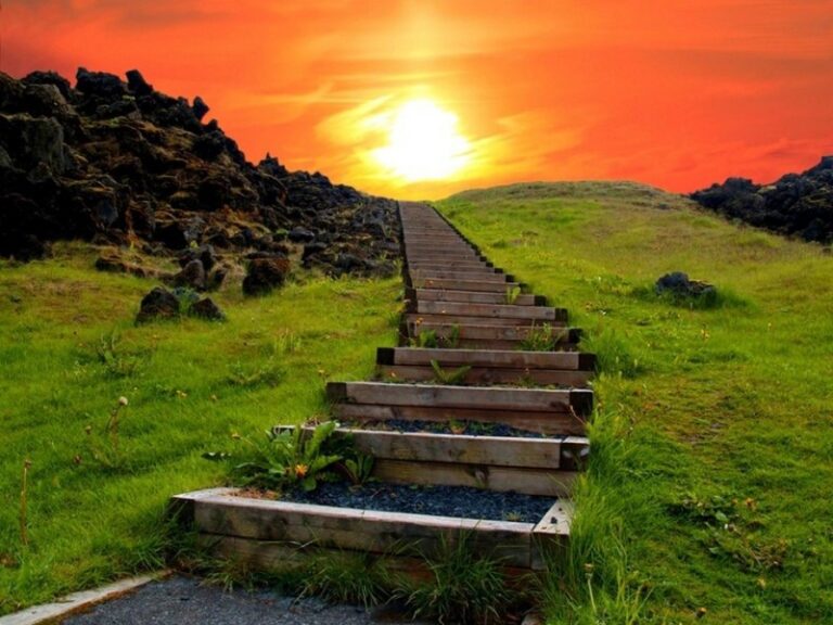 camino-de-santidad-biblia
