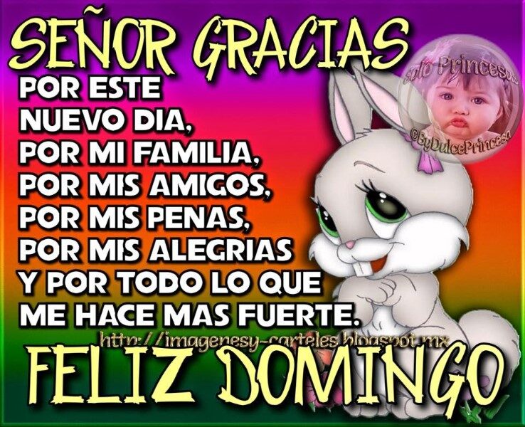 cartelitos-de-feliz-domingo