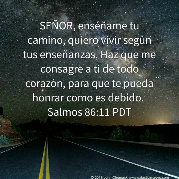 dios-ensename-el-camino