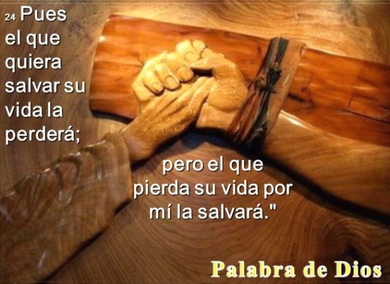 el-que-pierde-su-vida-por-causa-de-mi