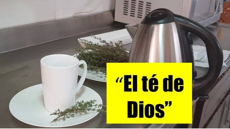 el-te-de-dios-cura-el-cansancio