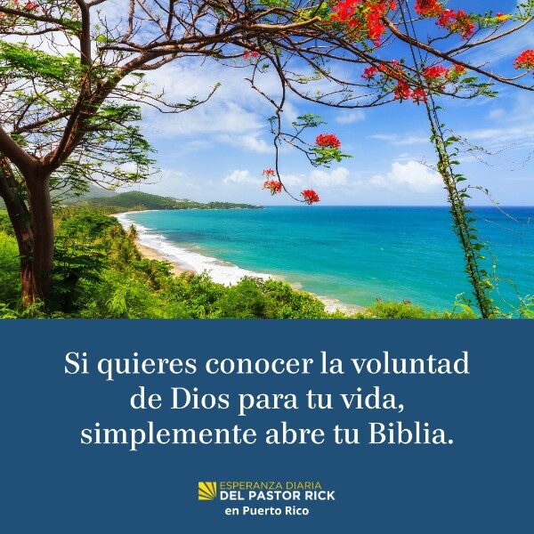 no-fueron-rivales-para-la-voluntad-de-un-dios
