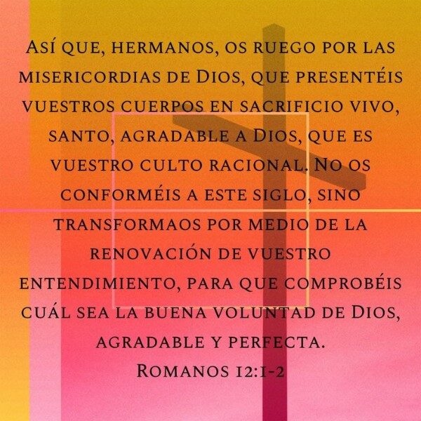 os-ruego-pues-hermanos-por-las-misericordias-de-dios