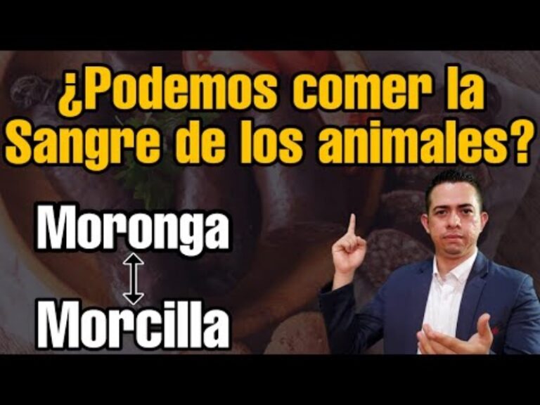 porque-no-se-puede-comer-la-sangre-de-los-animales