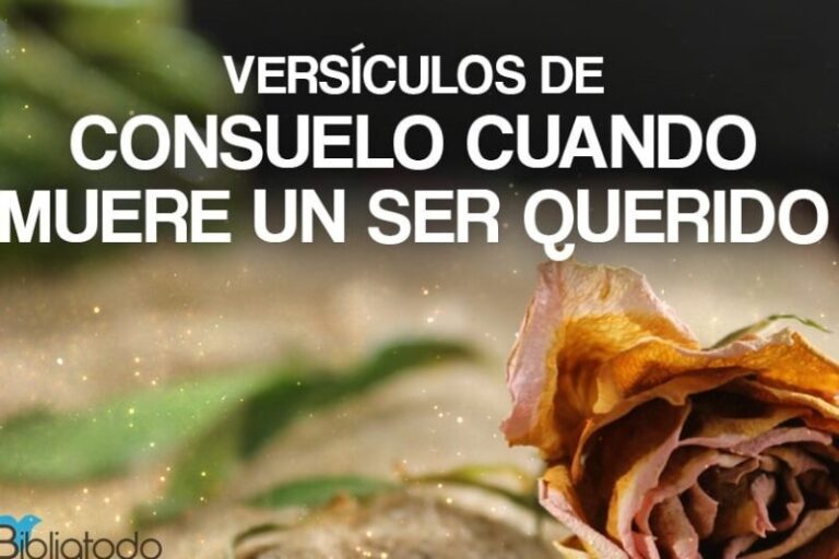 Reflexiones Cristianas Cuando Muere un Ser Querido