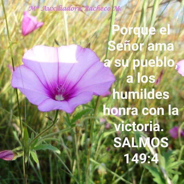 salmo-149-biblia-de-jerusalen