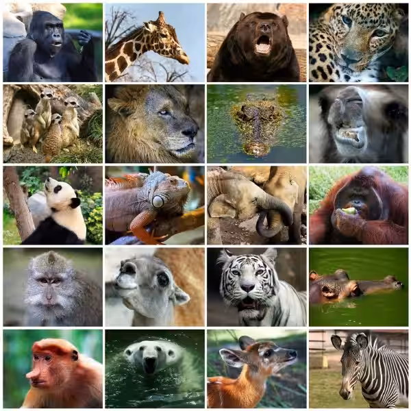 Animales Puros e Impuros: Una Perspectiva Religiosa
