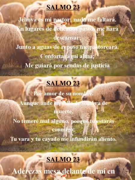 El Salmo 23: Un Refugio en la Esperanza y la Paz