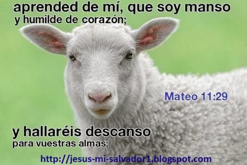 aprendan-de-mi-que-soy-manso-y-humilde