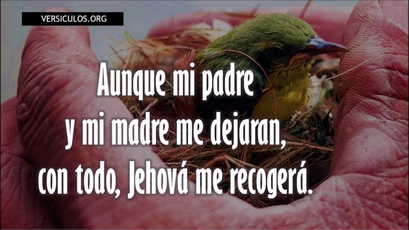 aunque-mi-padre-y-mi-madre
