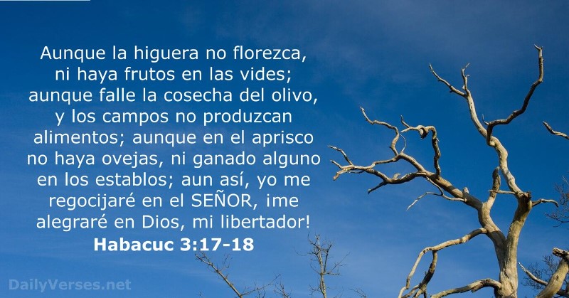 aunque-no-haya-vacas-en-los-corrales