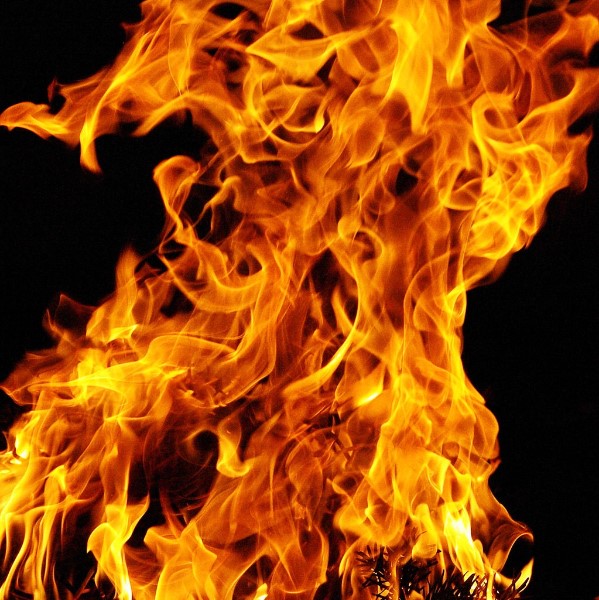 como-llama-de-fuego