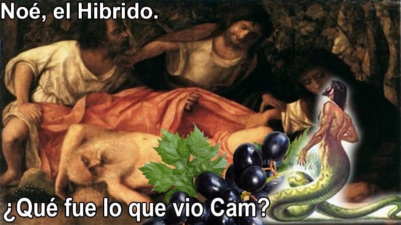 cual-fue-el-pecado-de-cam