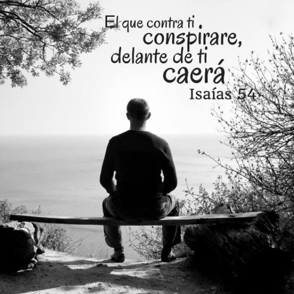el-que-contra-ti-conspirare-delante-de-ti-caera