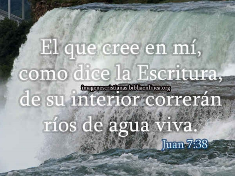 el-que-cree-en-mi-como-dice-la-escritura