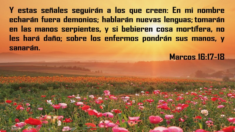 estas-senales-seguiran-a-los-que-creen