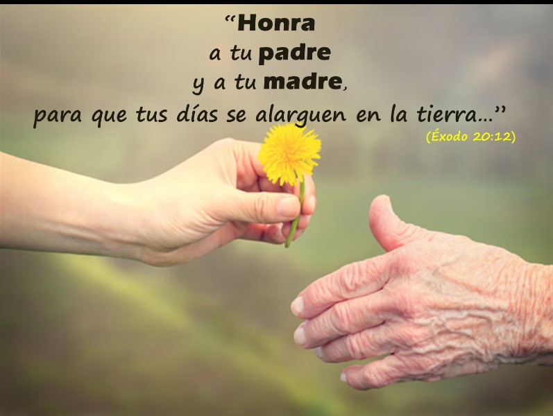 honraras-padre-y-madre