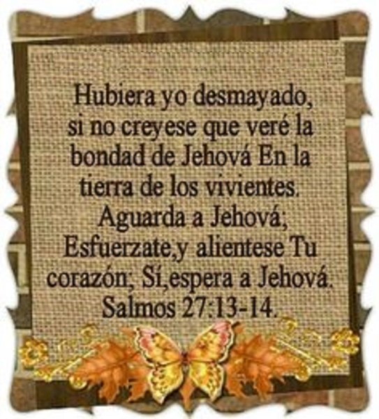 hubiese-yo-desmayado-si-no-creyese-nvi