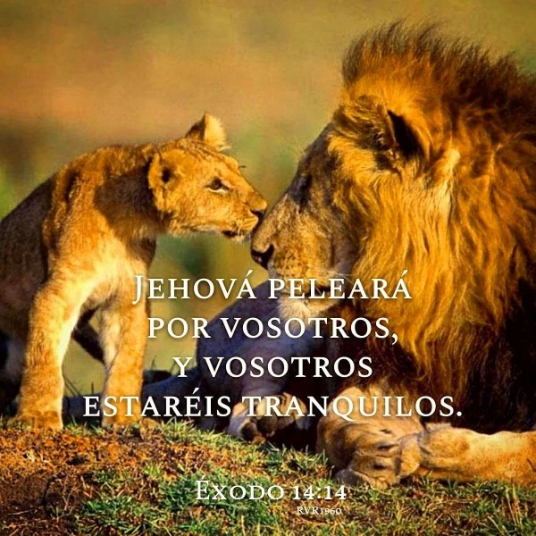 jehova-peleara-por-vosotros