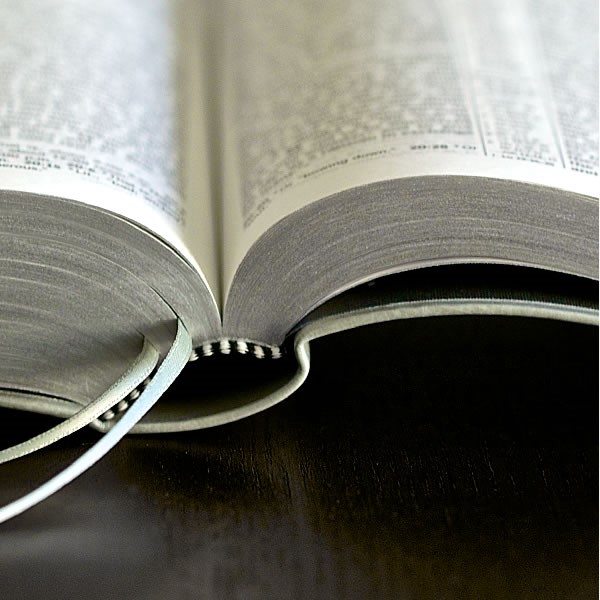 la-biblia-traduccion-del-nuevo-mundo