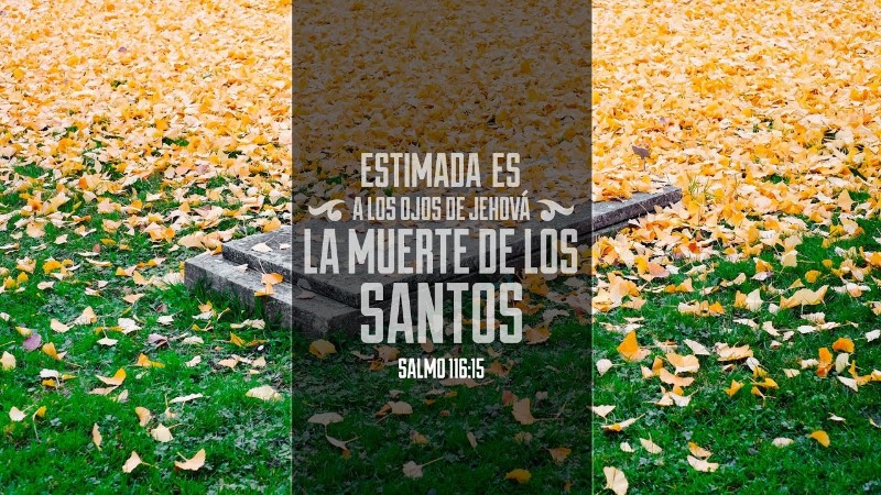 la-muerte-de-sus-santos