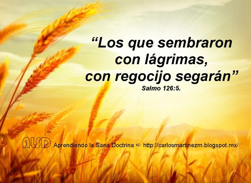 los-que-sembraron-con-lagrimas