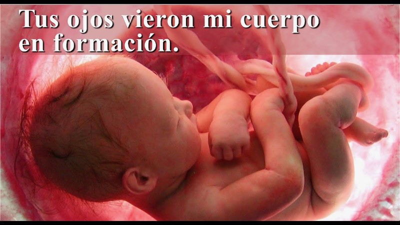 mi-embrion-vieron-tus-ojos