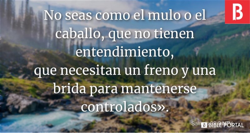 no-seas-como-el-mulo