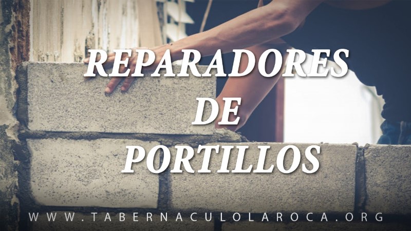 reparador-de-portillos